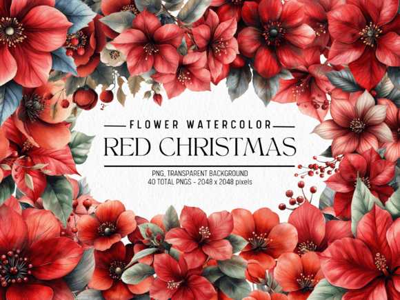 Download Red Christmas Watercolor Flowers - Red christmas watercolor Collection